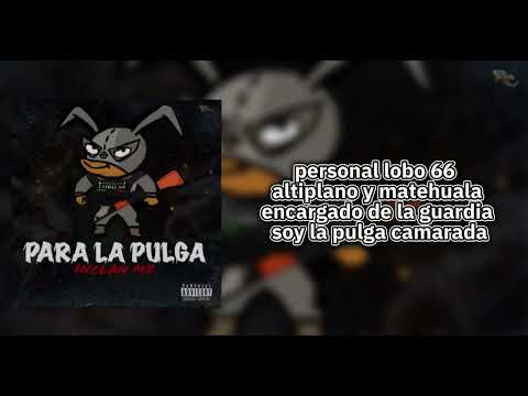 Hijos Del Golfo - La Pulga 🐺