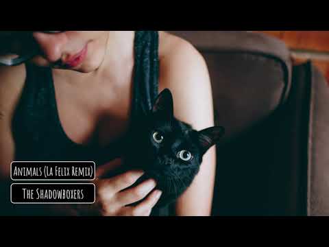The Shadowboxers - Animals (La Felix Remix)