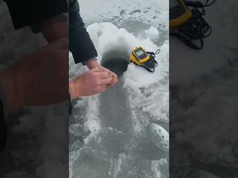 #Hashtag Ice Fishing ? First Fish of the day. # Short's