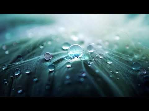 Fluoride in the Water (Chill Electronic Hip-Hop Beat)