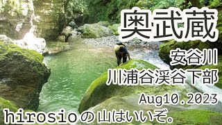 【沢登り】奥武蔵/安谷川　川浦谷渓谷（下部）