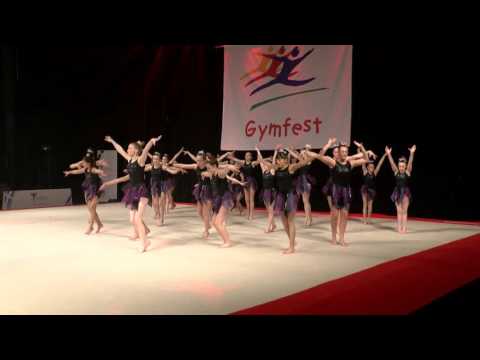 Gymfest 2016 - Leeds Display Team