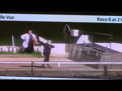 DROOPYS REEL ( Trap 2)Scurry Cup Semi Final, Belle Vue 12oct