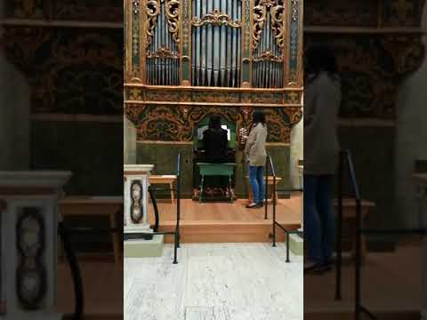 Organist Dr. JuYeon “Julia” Lee at Memorial Art Gallery, Rochester, NY