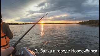 Обь рыбалка в сентябре
