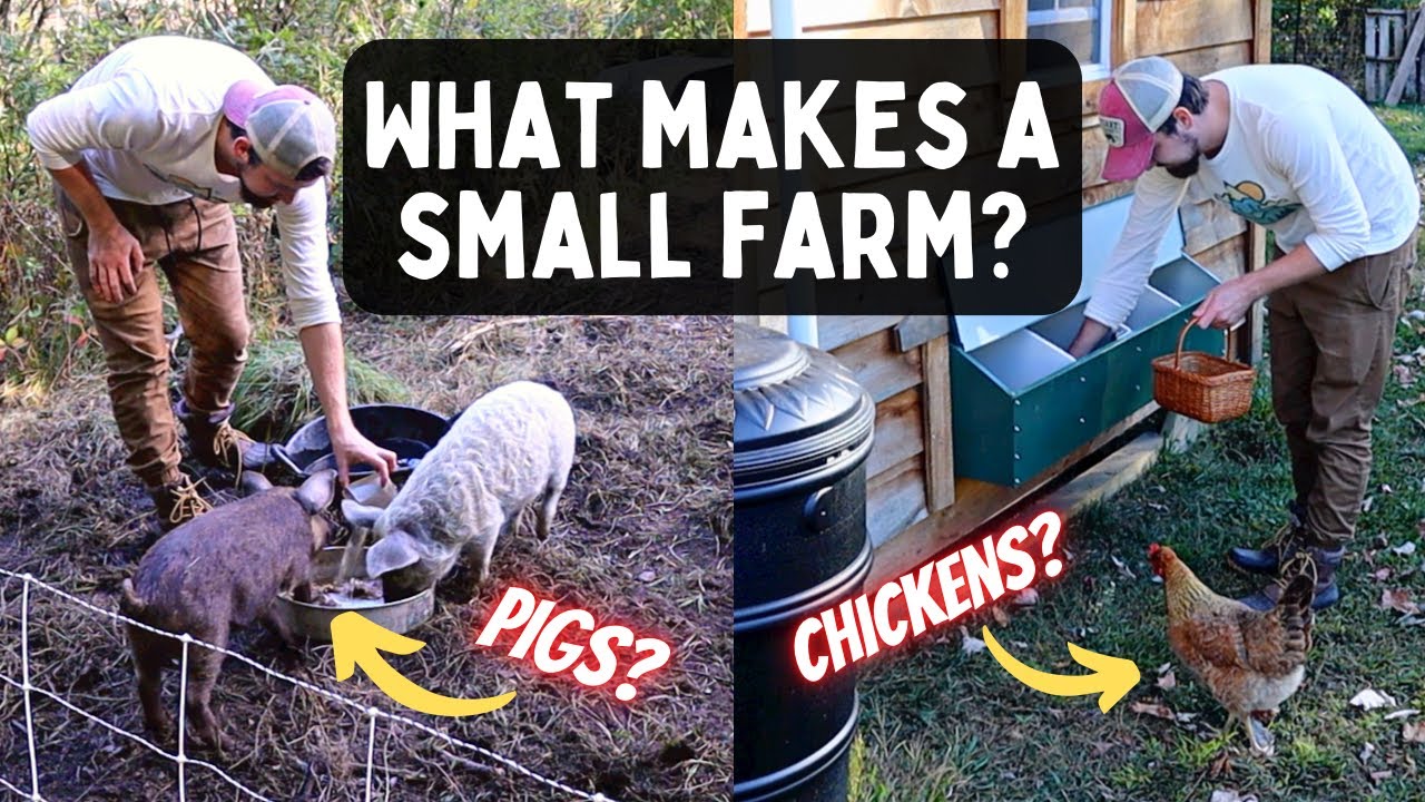 What Defines A SMALL FARM? (Do We Have One?)