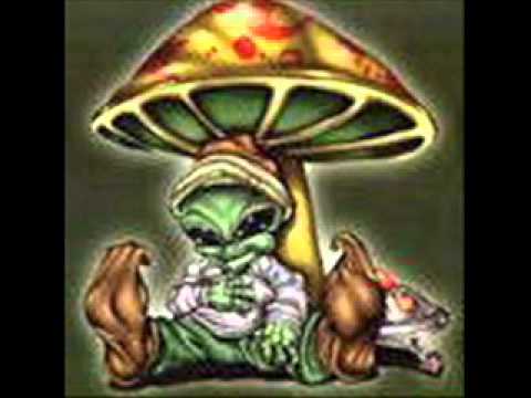Earthling-Goa Constrictor