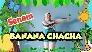 Download lagu SENAM BANANA CHACHA mp3