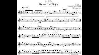 Clip of Bats on the Boyne