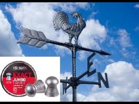 Does Wind REALLY effect pellets? WATCH this!