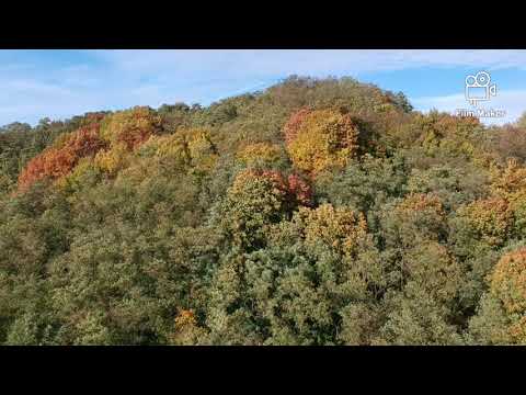 Jesień. Huta Stara B