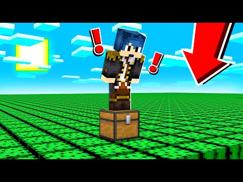 NON PUOI SOPRAVVIVERE IN QUESTO MONDO DI CACTUS! - MINECRAFT
