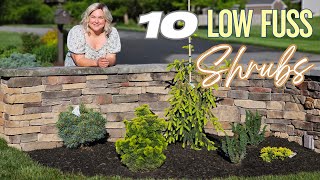 10 Low Maintenance Shrubs for Year-Round Color | Create Color with Iseli Conifers!