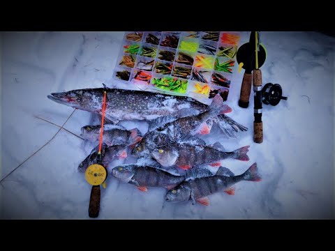 PILKILLÄ PIMMEESSÄ JA TUULESSA! | RUOKAKALAT KUMMISKIN MATKAAN...