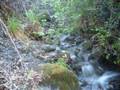 Handel - Water Music Suite In F- (Allegro) 