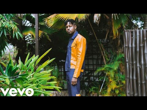 Ladipoe Ft. Rema – Afro Jigga (Official Music Video)