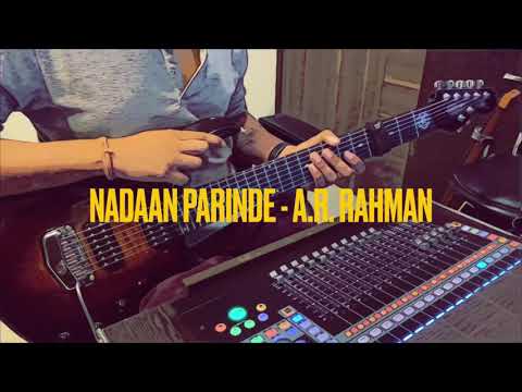 NADAAN PARINDE || ROCKSTAR || A.R.RAHMAN || GUITAR SOLO COVER