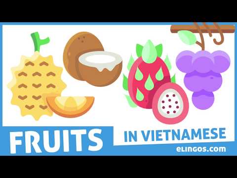 Fruits Vocabulary in Vietnamese | Vocabulary Series by HowToVietnamese