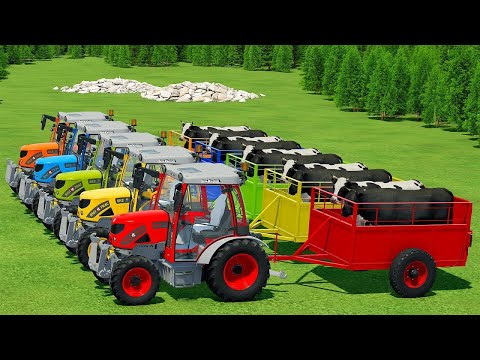 TRANSPORTING COWS WITH RIGI TRAC MINI TRACTORS AND DAF TRUCK - Farming Simulator 22