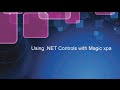 Using .NET Controls with Magic xpa