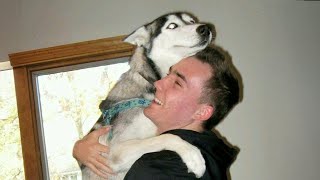 Dogs Teach Us What Unconditional Love Is 🐶 Funny Dog and Human