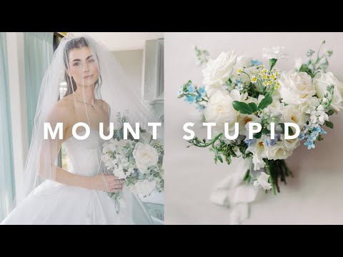 I Wish I Never Said This To A Client