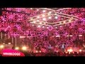 Live: Electro Velvet - Still in Love with You ...