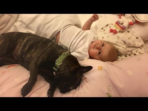 Nach mama-shitstorms: melanie müller provoziert ihre hater! - Die heutigen Neuigkeiten