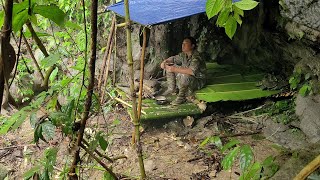 Create a simple shelter, search for healthy food in the forest, survive alone in the forest