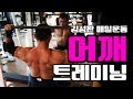 보디빌더의 상탈어깨운동루틴[김성환매일운동]Shoulder workout Routine