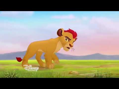 101 Wild Animals Part 5 - A Wild and Stormy Night