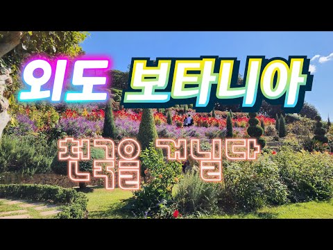 외도보타니아! 천국을 거닐다! 지금이에요 #거제외도 #시월의섬