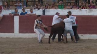 plaza de toros de  luna 2016