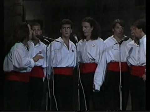 Žilju moj - klapa Puntari - FDK 1994