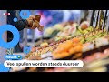 Zo bepalen winkels hun prijzen