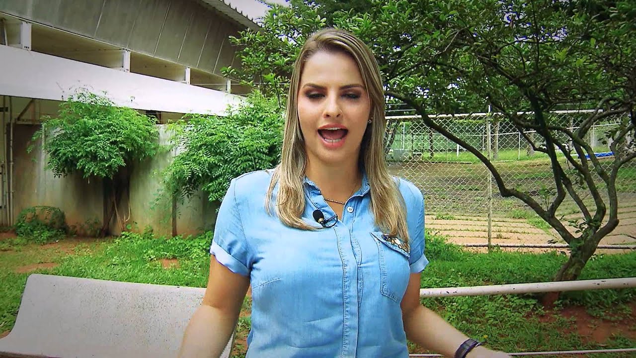 Antes & Depois da Lei #50 - Lei Antimanicomial