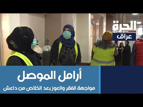 شاهد بالفيديو.. أرامل الموصل يكافحن الفقر والعوز بعد فقدانهن معيلهن على يد داعش