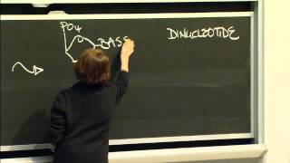 Macromolecules: Lipids, Carbohydrates, Nucleic Acid, Excerpt 2 | MIT 7.01SC Fundamentals of Biology