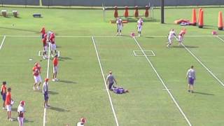 preview picture of video 'Robbie Anthony Clemson Football WR Highlights 2010'