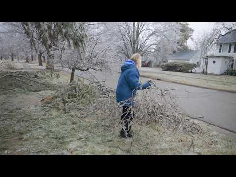 Ice storm damage in Ypsilanti, Michigan