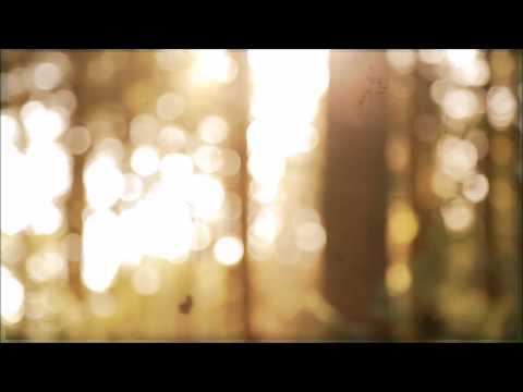 Those Who Dream By Day - Lighthouse Keeper