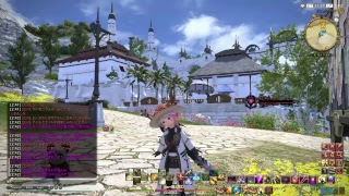 FF１４　零式４それんしゅん