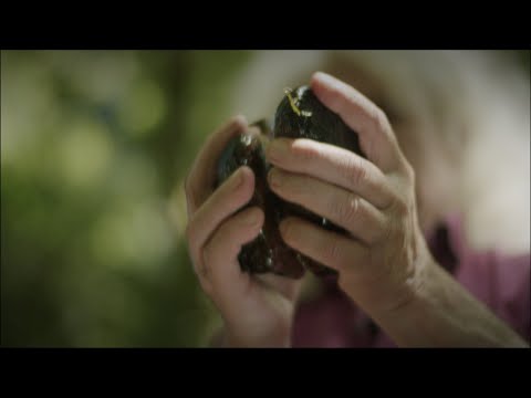 Ma zamm kroc'hen n'eo ket da werzhañ - Bernez Tangi