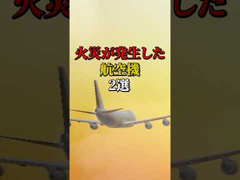 Leduc (飛行機)について詳しく解説