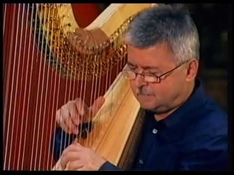 John Lennon-Paul McCartney  -  BLACKBIRD for two Harps & Piano