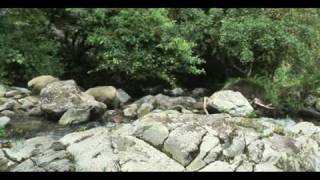 preview picture of video 'Río MACHO DE MONTE (Cuesta de Piedra, Chiriquí, Panamá)'