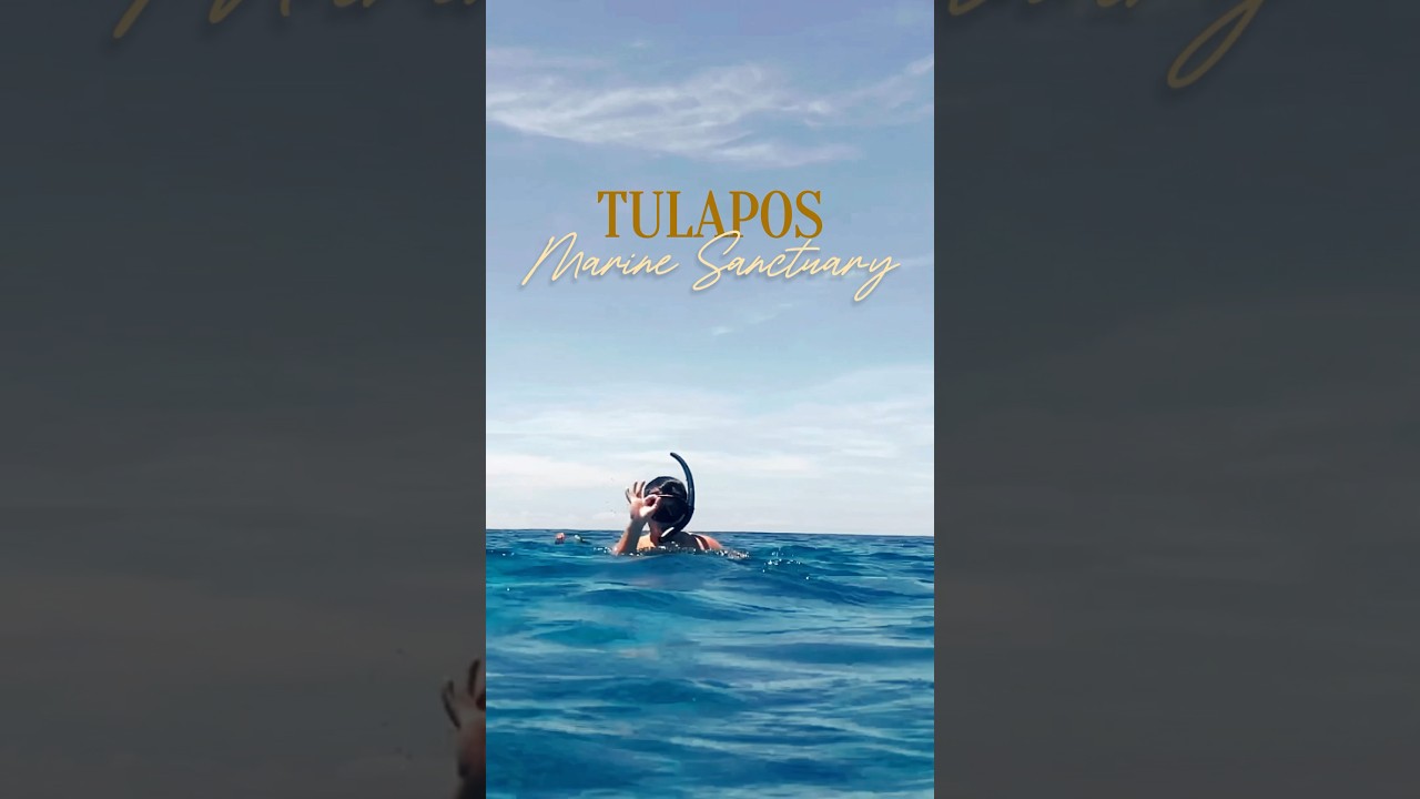 YouTube Short thumbnail