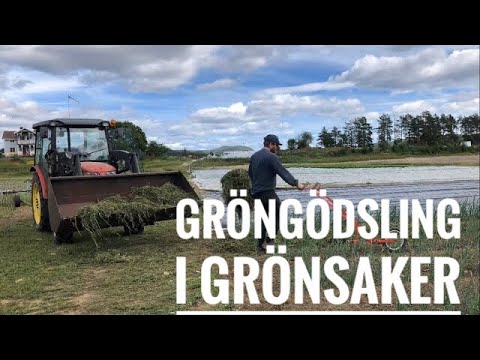 Putsar, strängar, kånkar - experiment med mobil gröngödsling