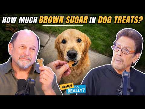 Nobody Feels Confident That They're Feeding Their Pet the Right Food | Really? no, Really? Podcast