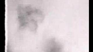 Videoklip Iggy Pop - I Got A Right s textom piesne